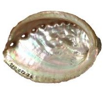 Omc 1960.692.002 B (1) Edited